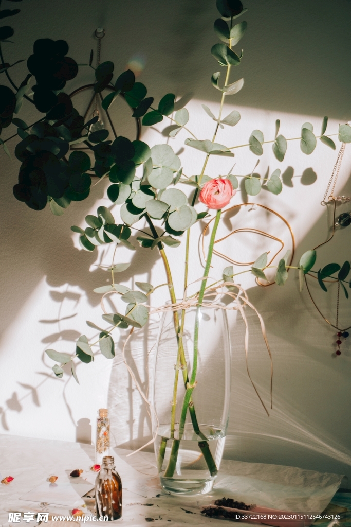 花瓶插花