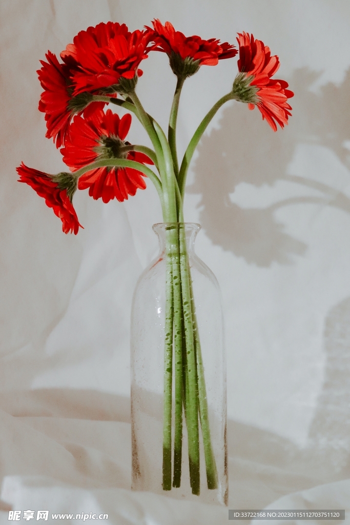 花瓶插花