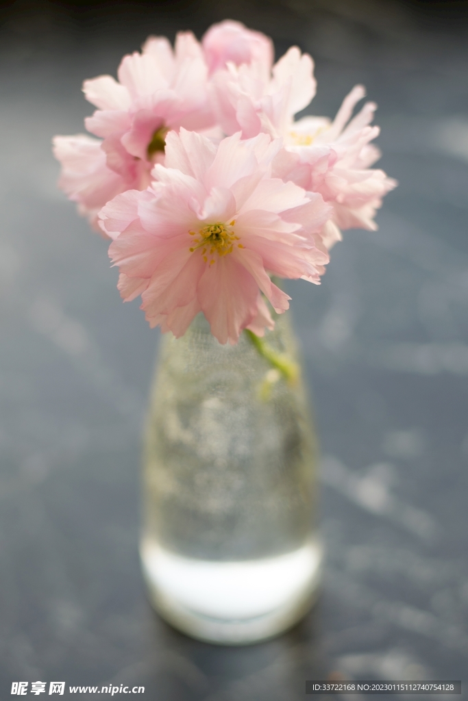 花瓶插花