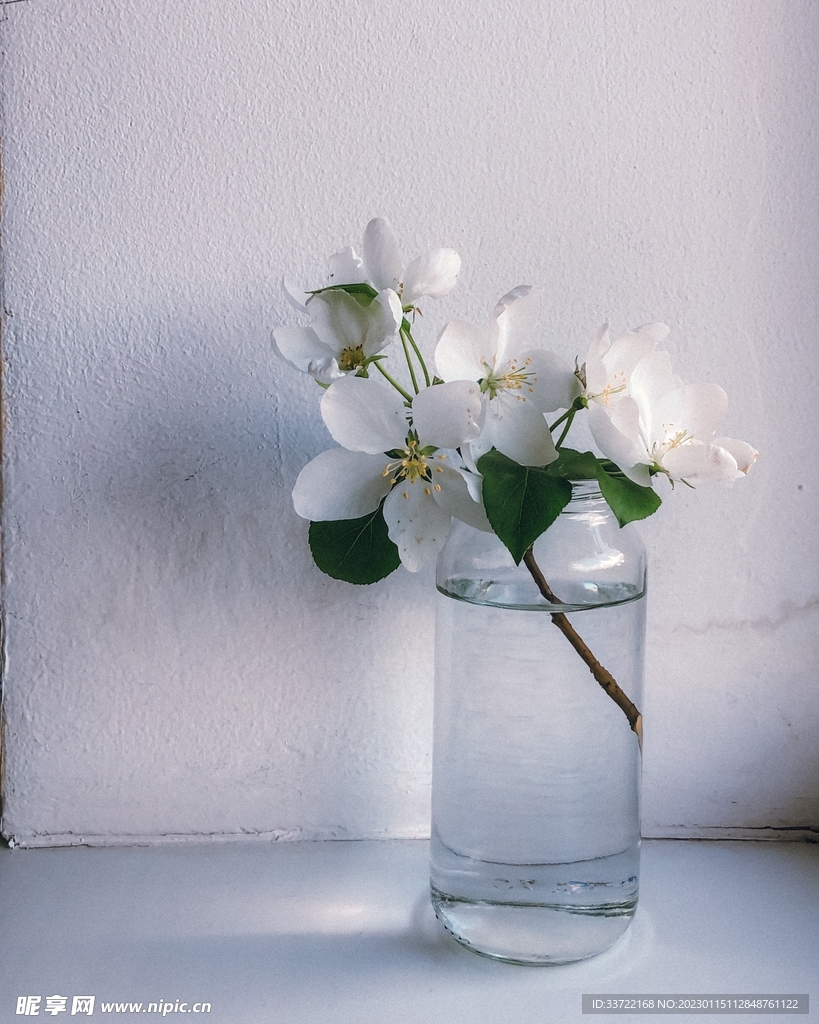 花瓶插花