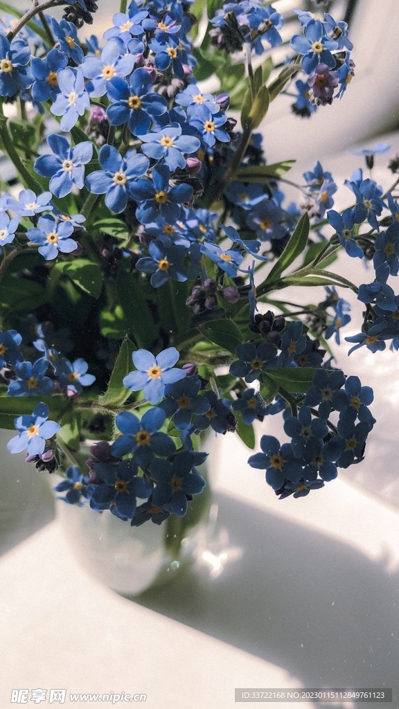花瓶插花