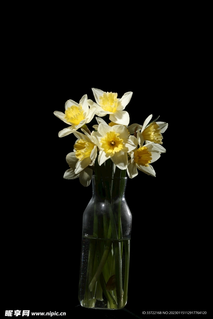 花瓶插花