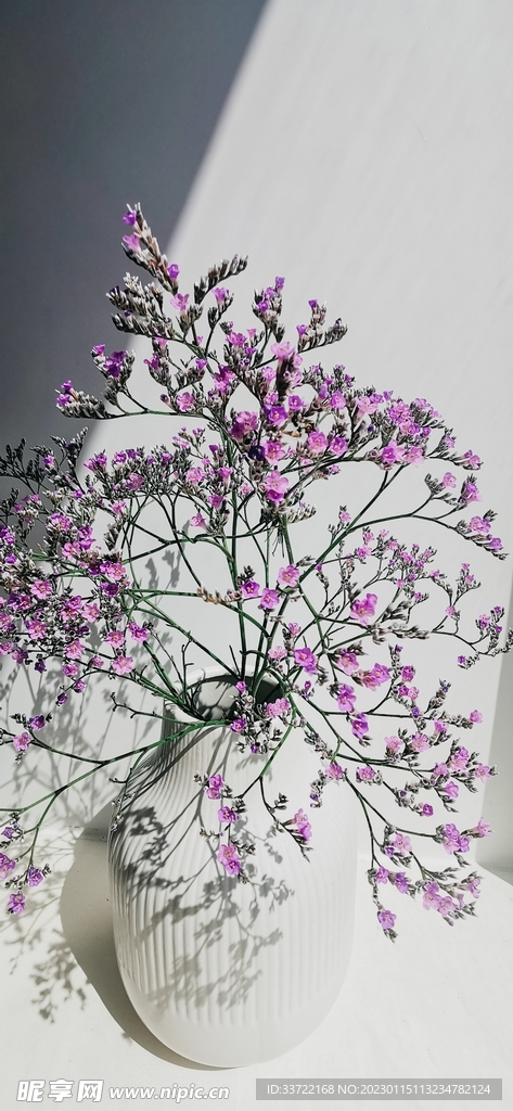 花瓶插花