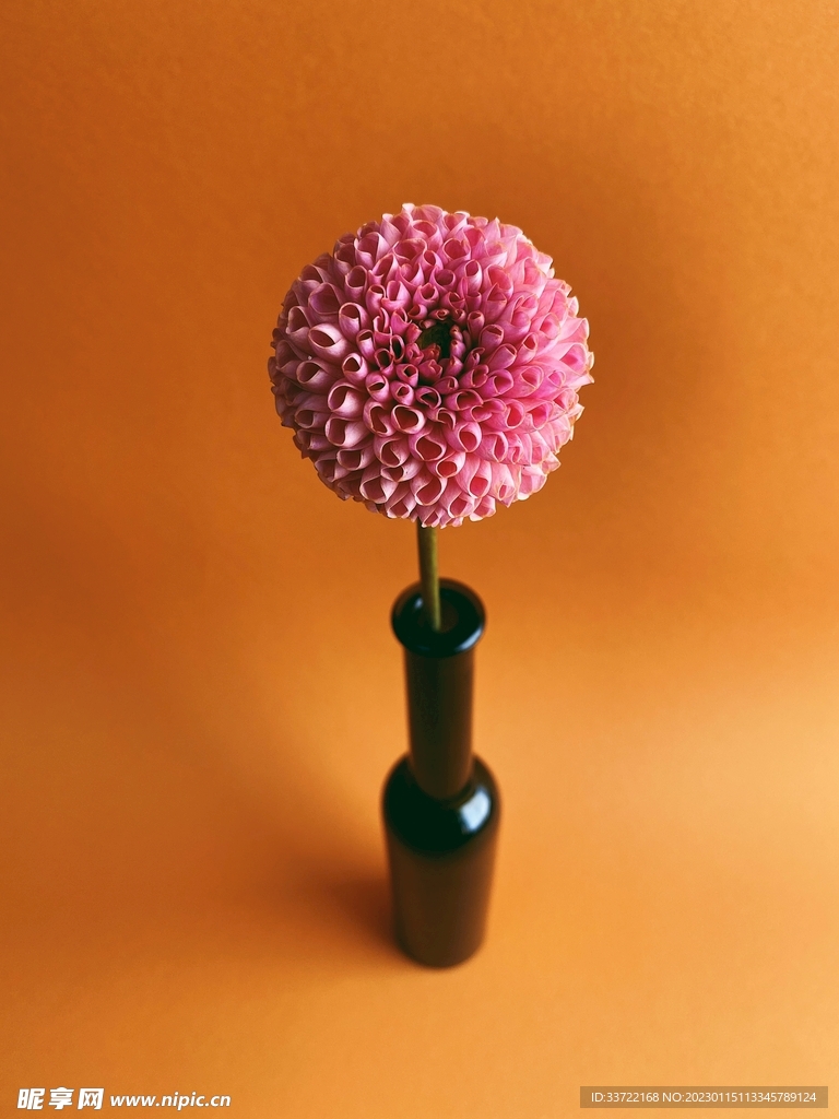 花瓶插花
