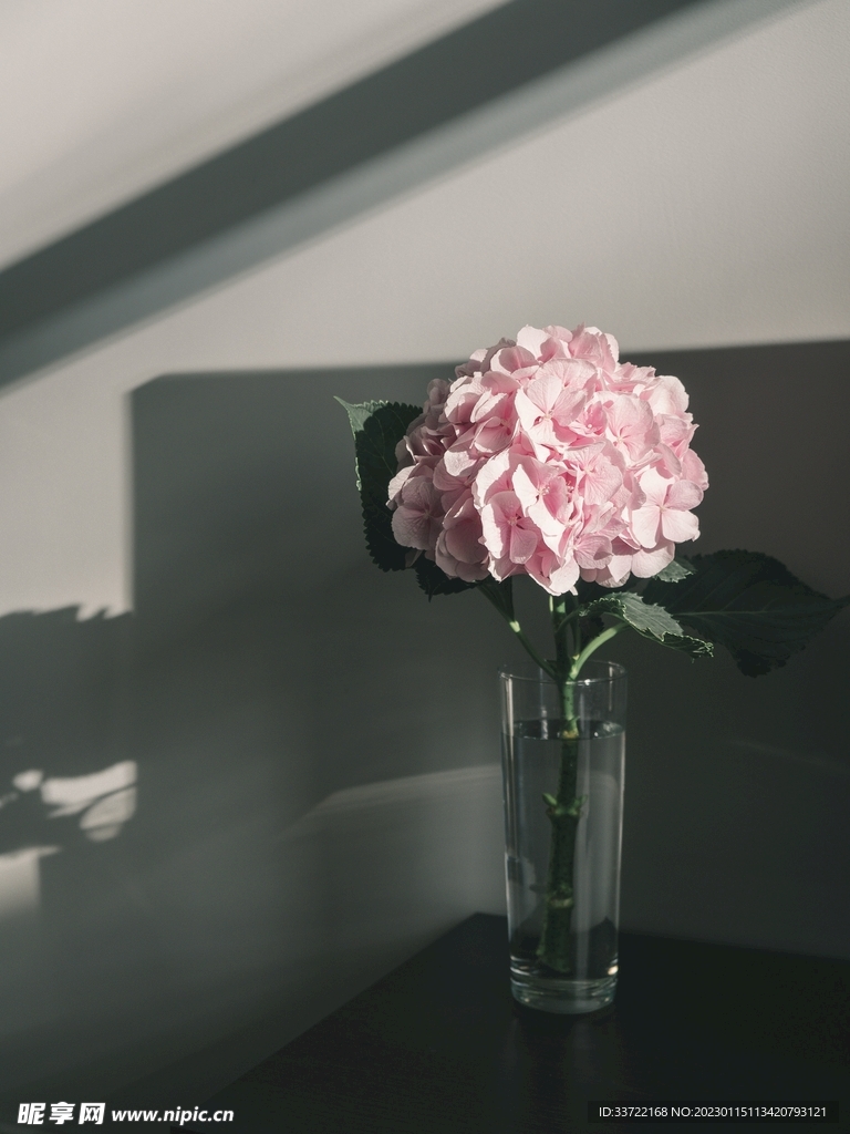 花瓶插花