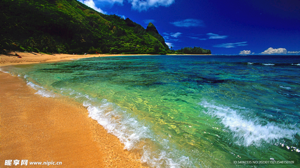 大海