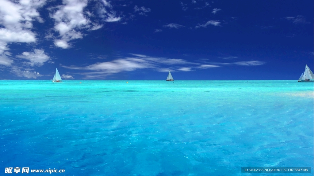 大海