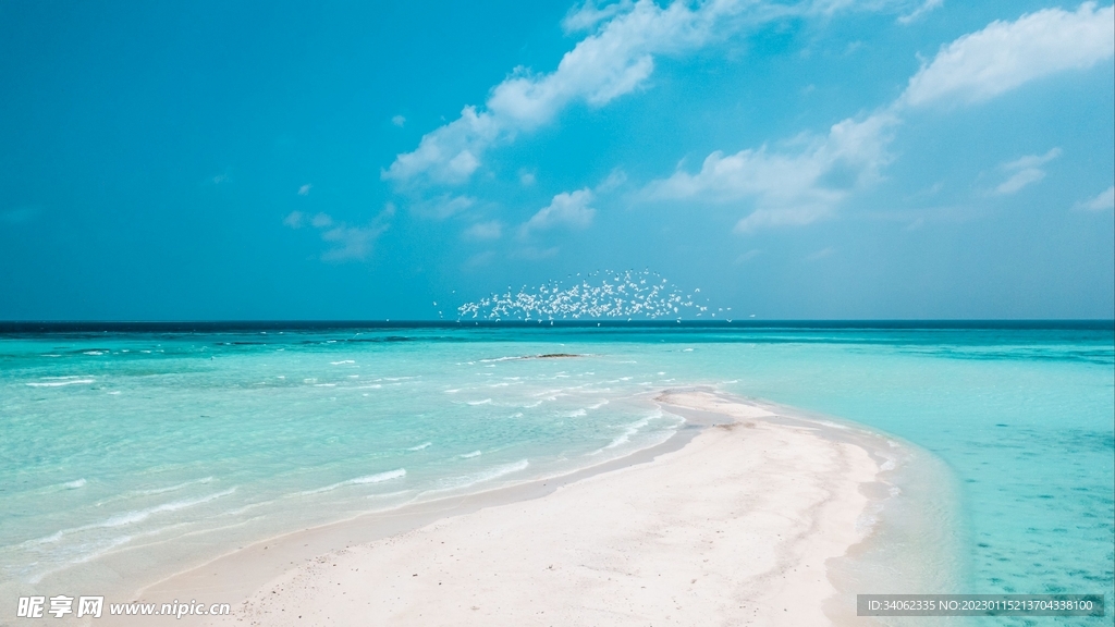 大海