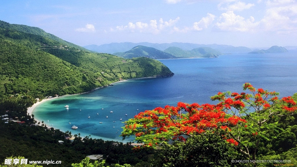大海