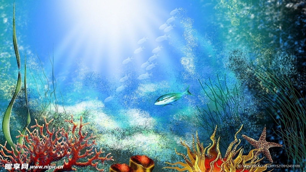 大海