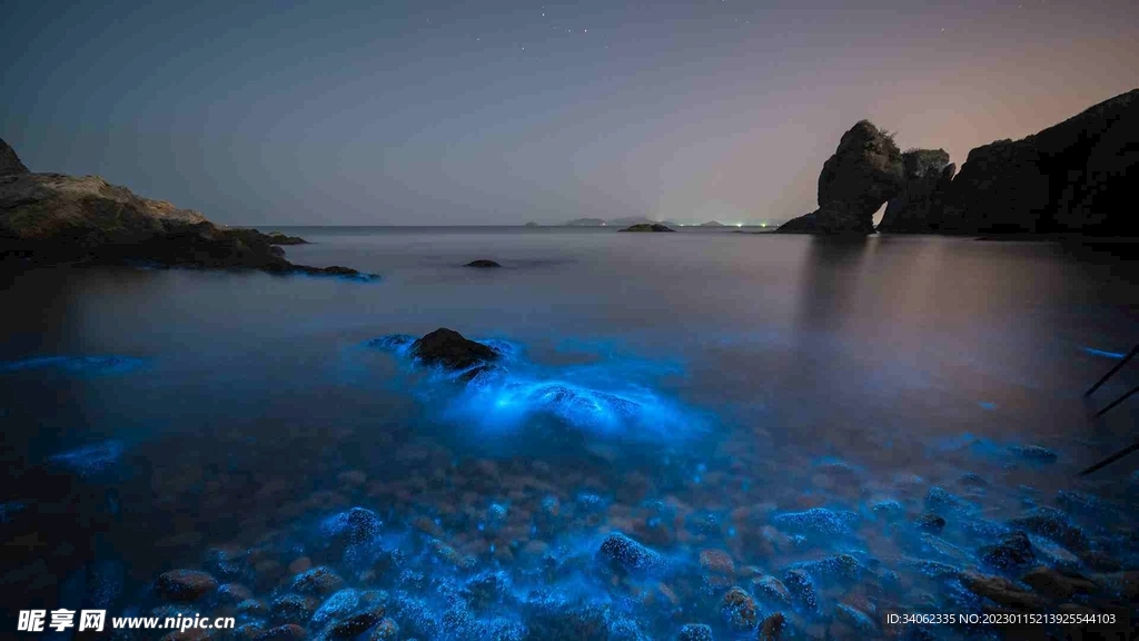大海