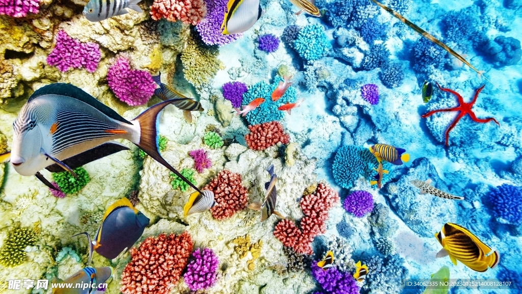 大海