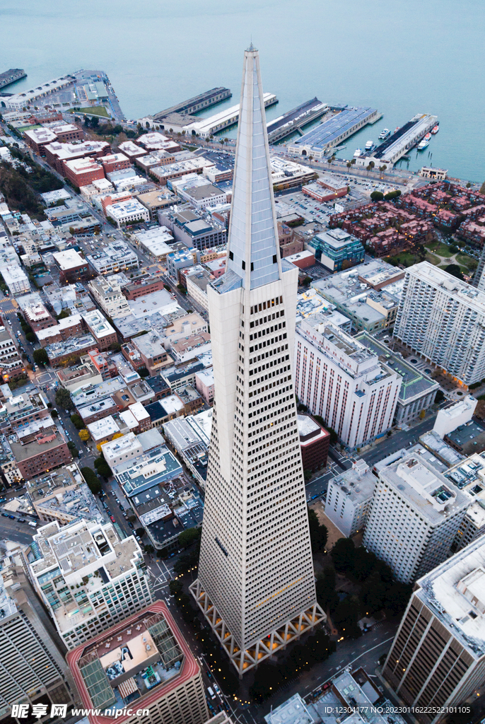 城市