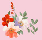 花卉背景素材 