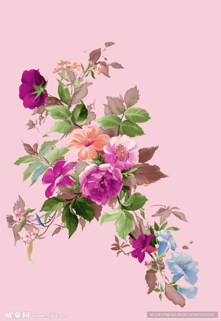 月季花朵花卉