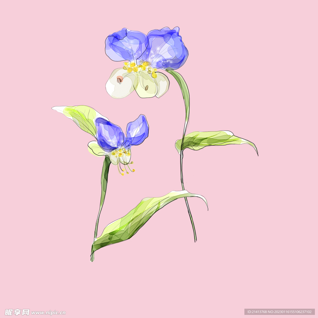 手绘花卉素材 