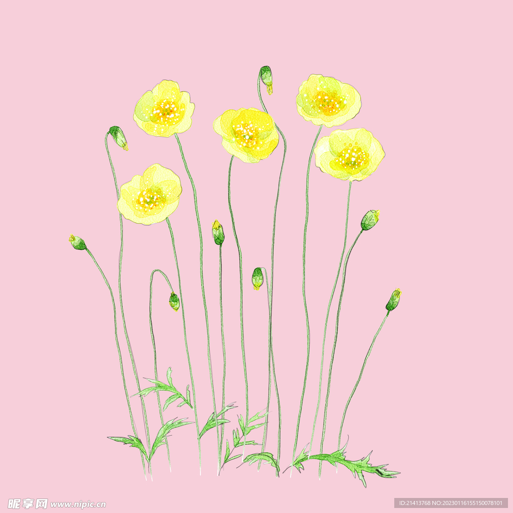 手绘花卉背景