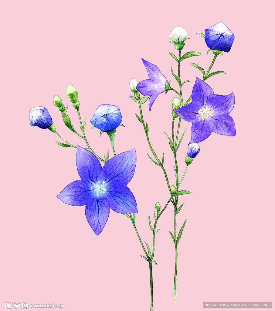 手绘花卉背景
