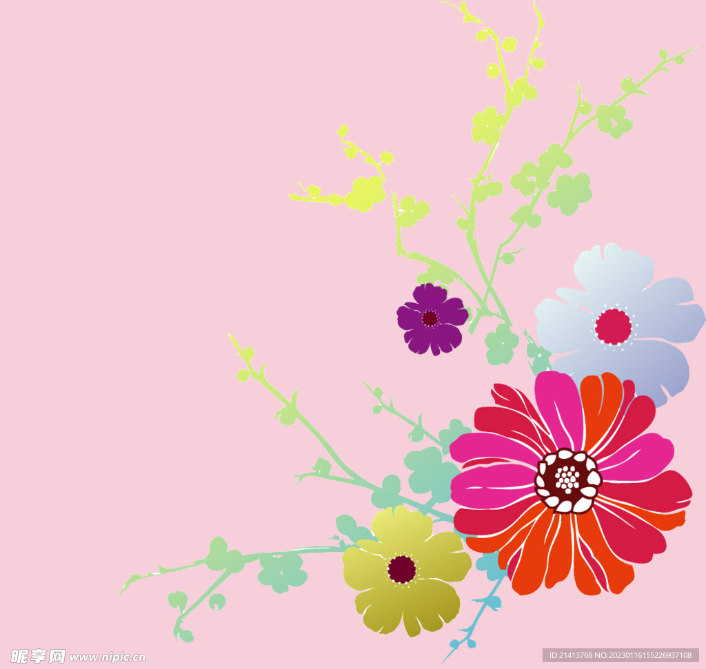 小雏菊菊花 