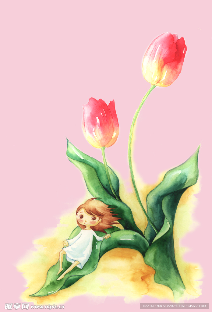 郁金香 
