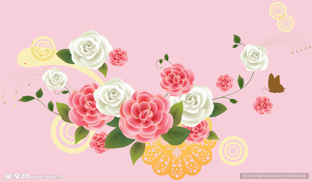 玫瑰花朵花卉
