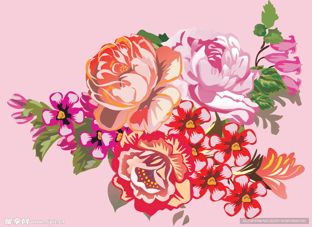 月季花朵花卉 