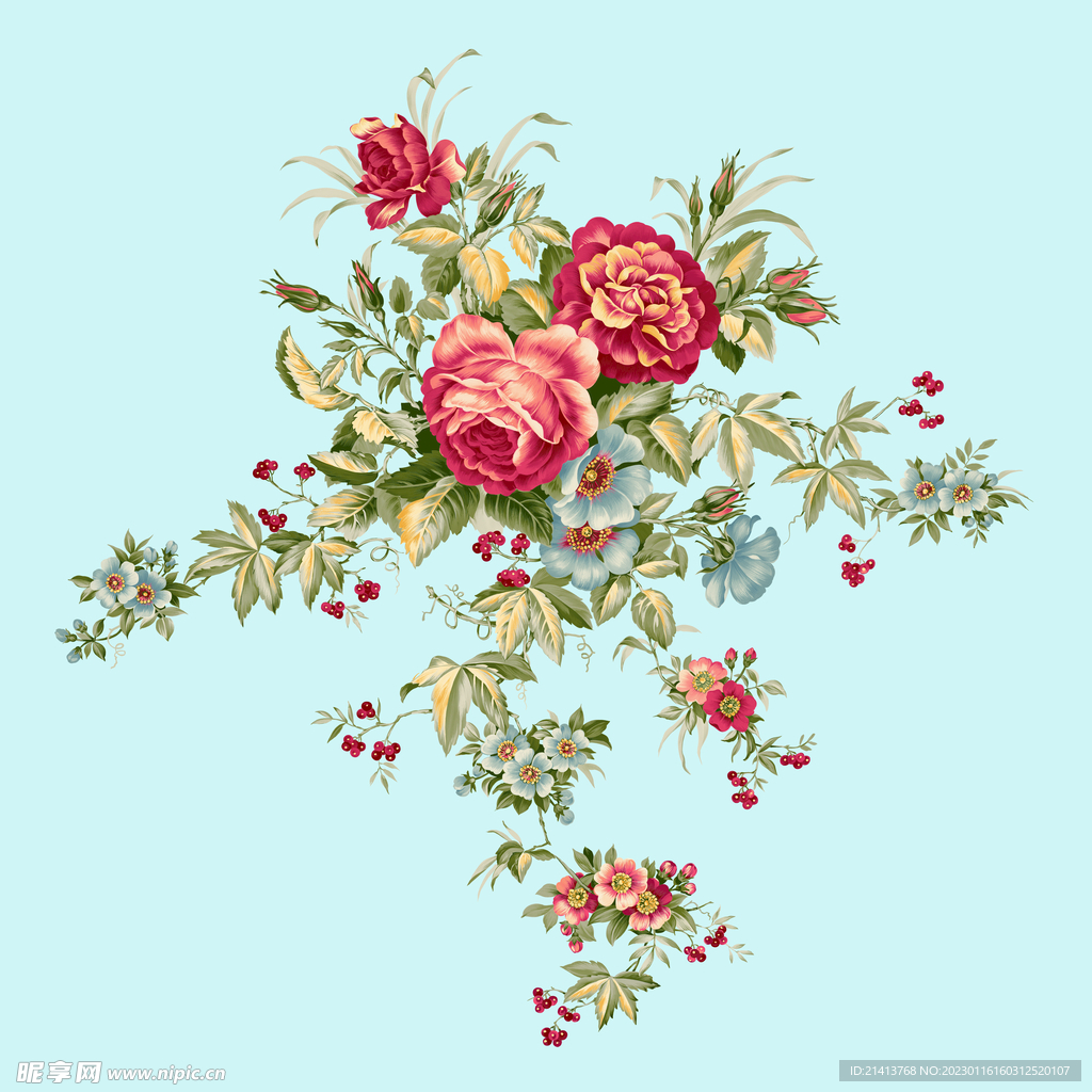 月季花朵花卉