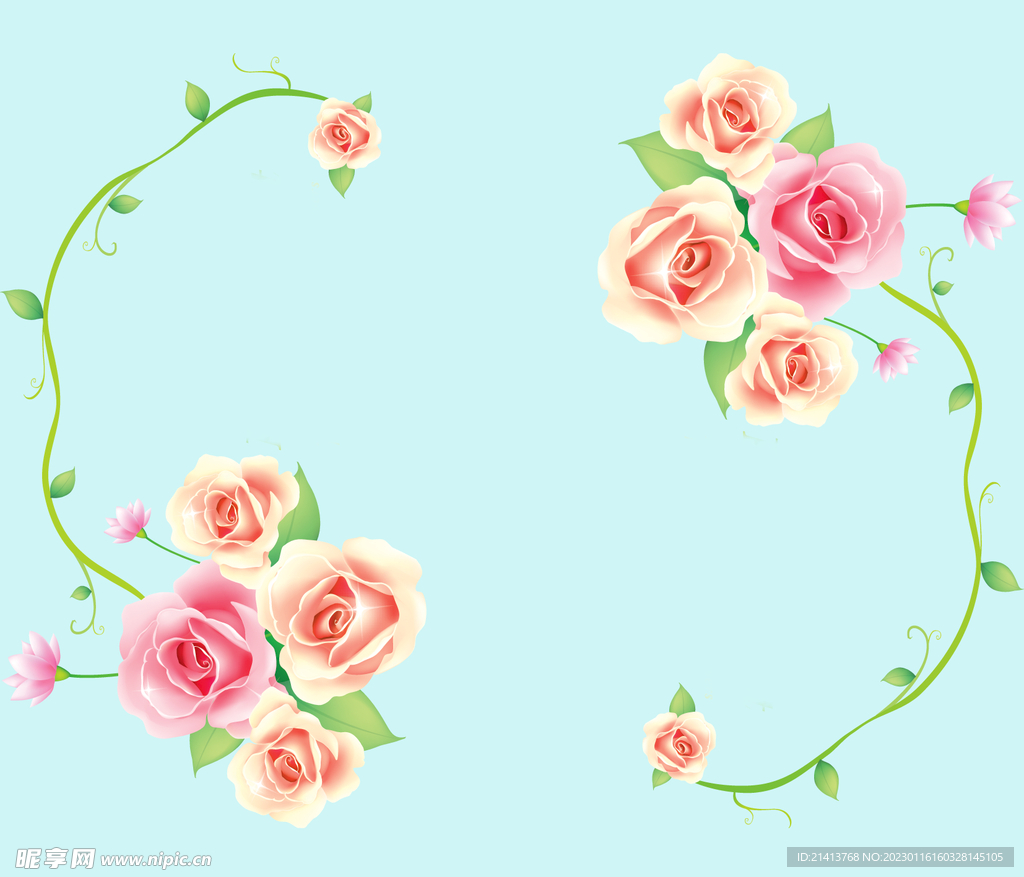 月季花朵花卉 