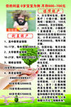 保险DM单