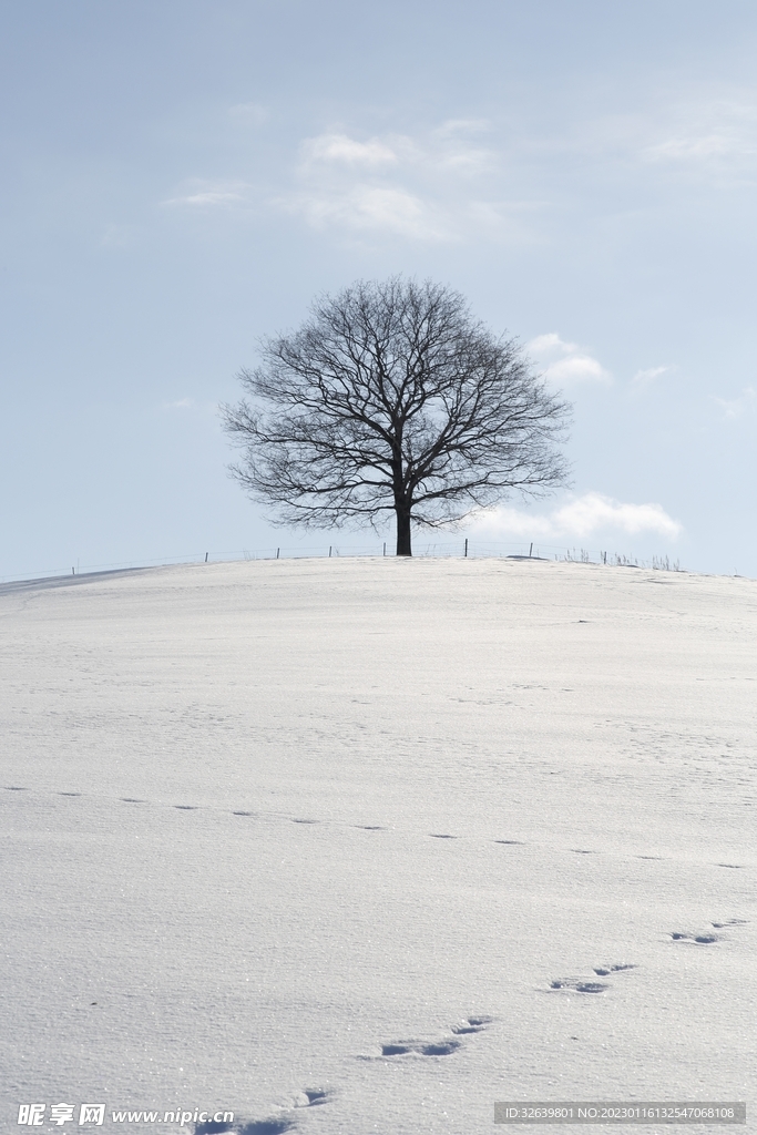 雪景 