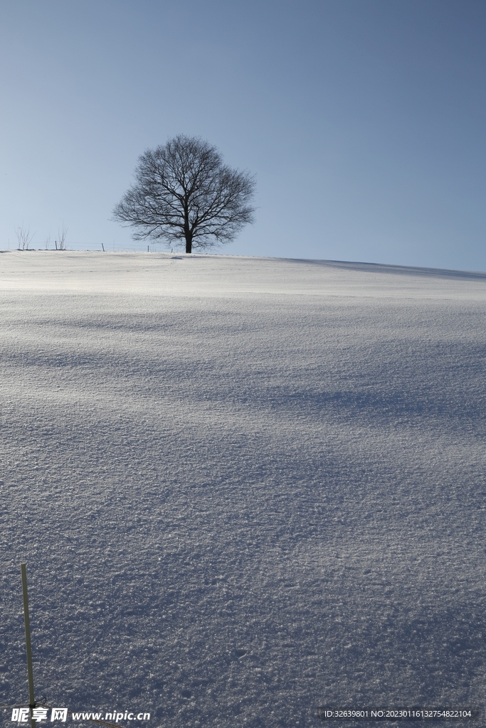 雪景 