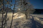 雪景