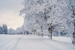 雪景
