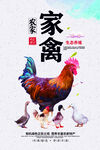 家禽