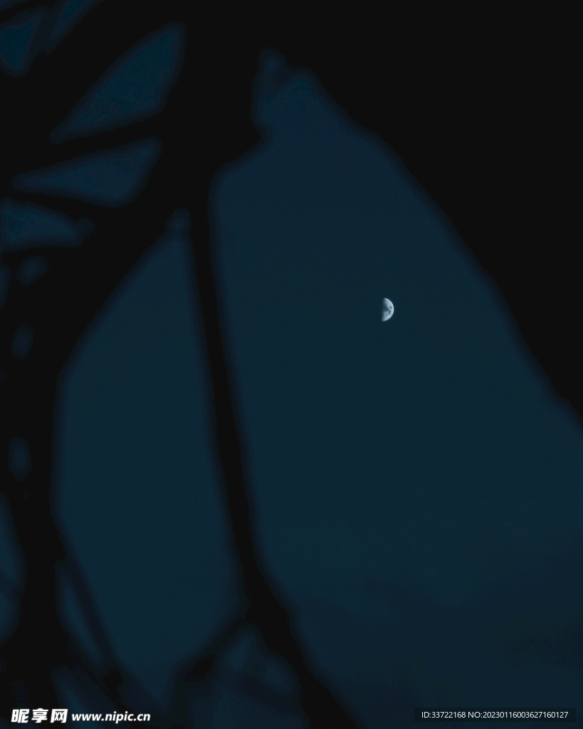 月亮
