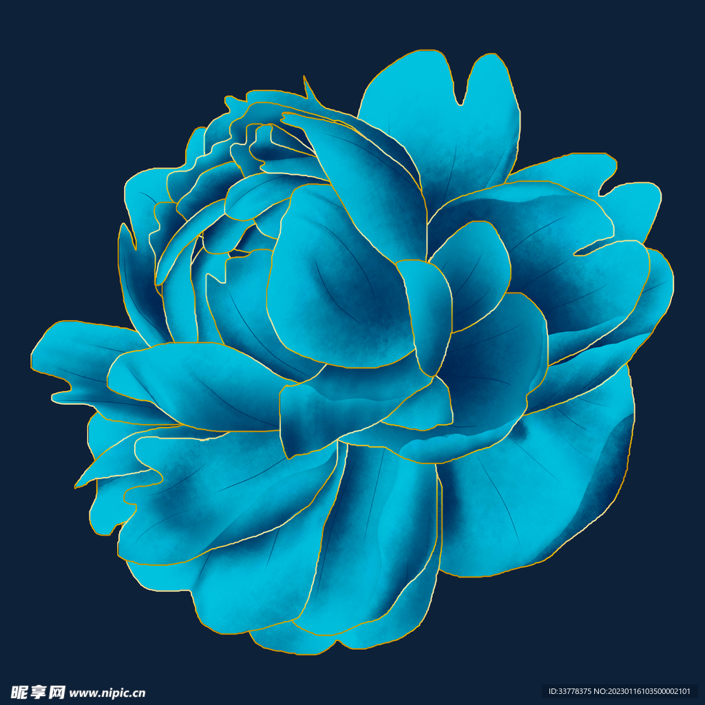 蓝色牡丹