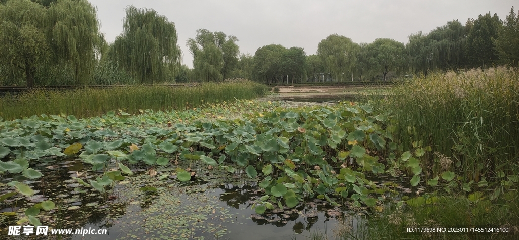 郑州北龙湖湿地公园