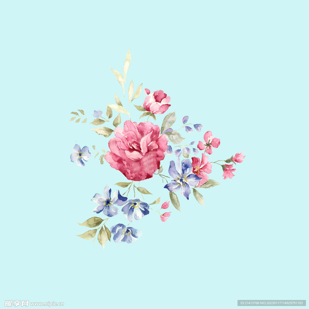 手绘水彩月季