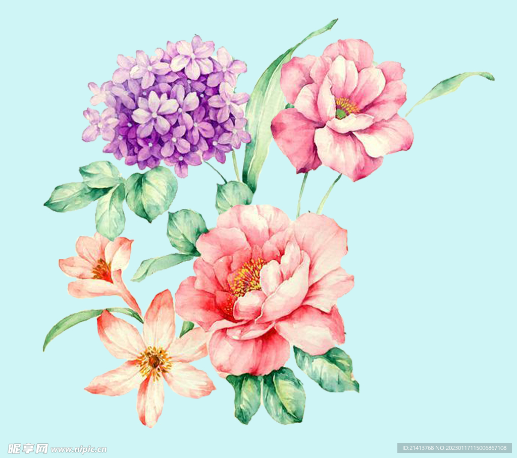手绘水彩月季 
