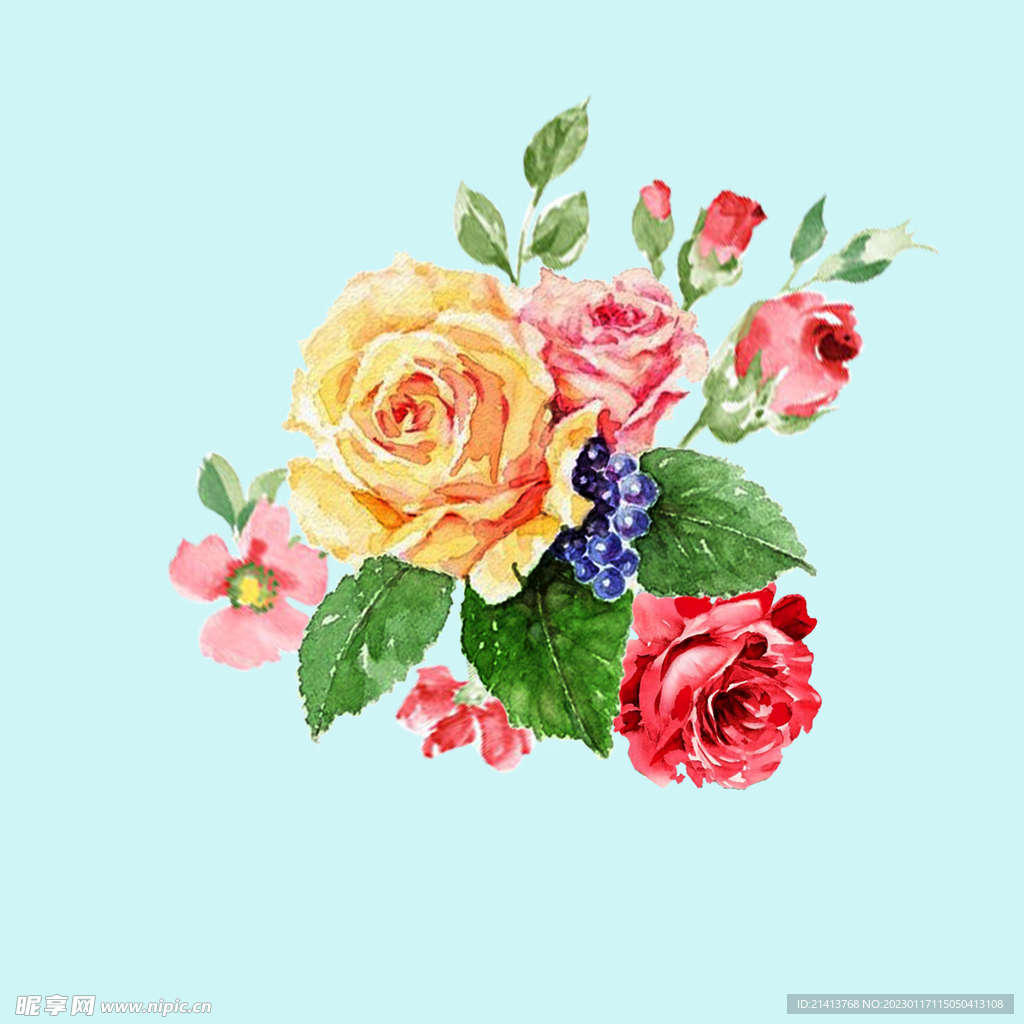 手绘水彩月季 