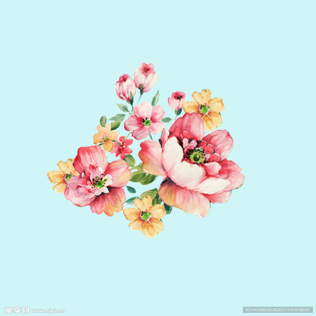 手绘水彩月季 