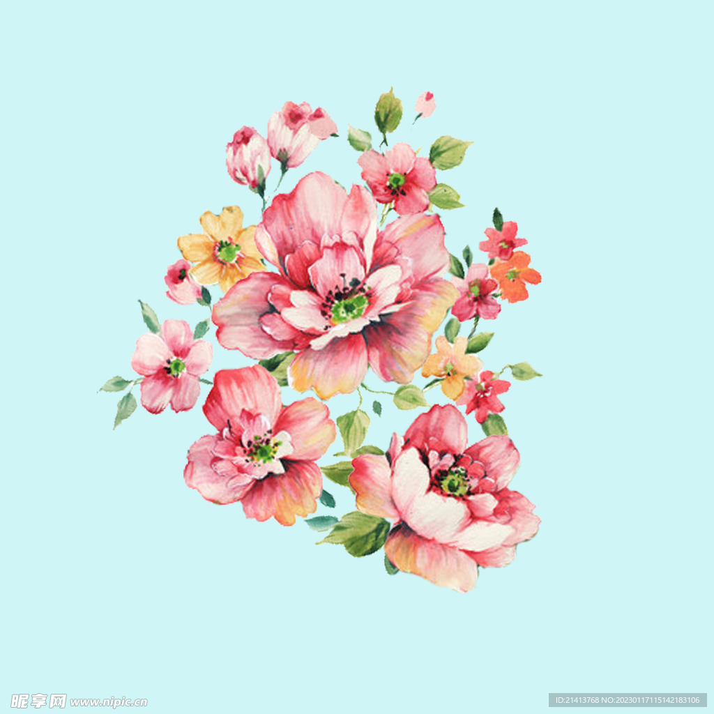 手绘水彩月季