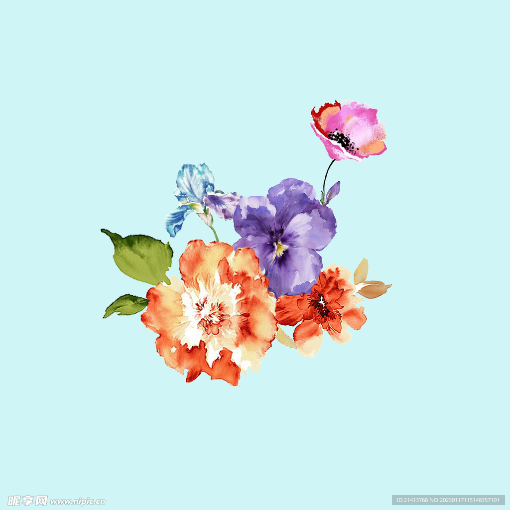 手绘水彩月季 