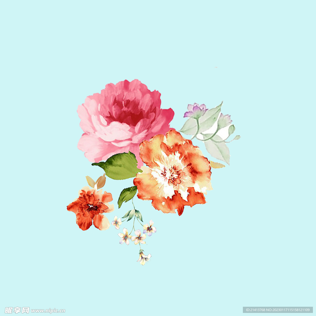 手绘水彩月季 