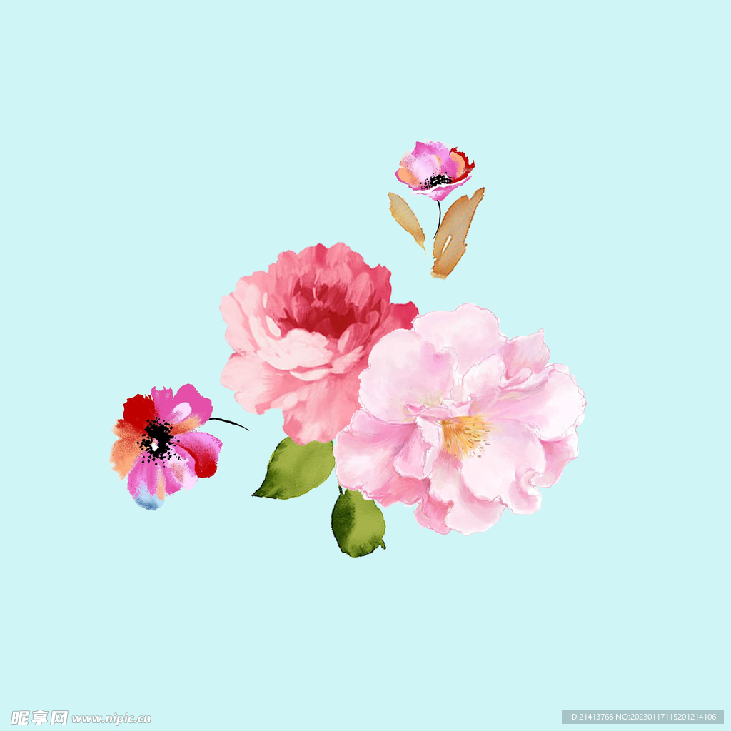 手绘水彩月季 