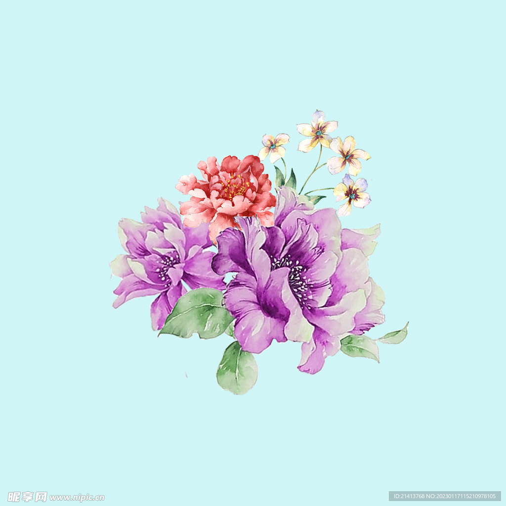 手绘水彩牡丹 