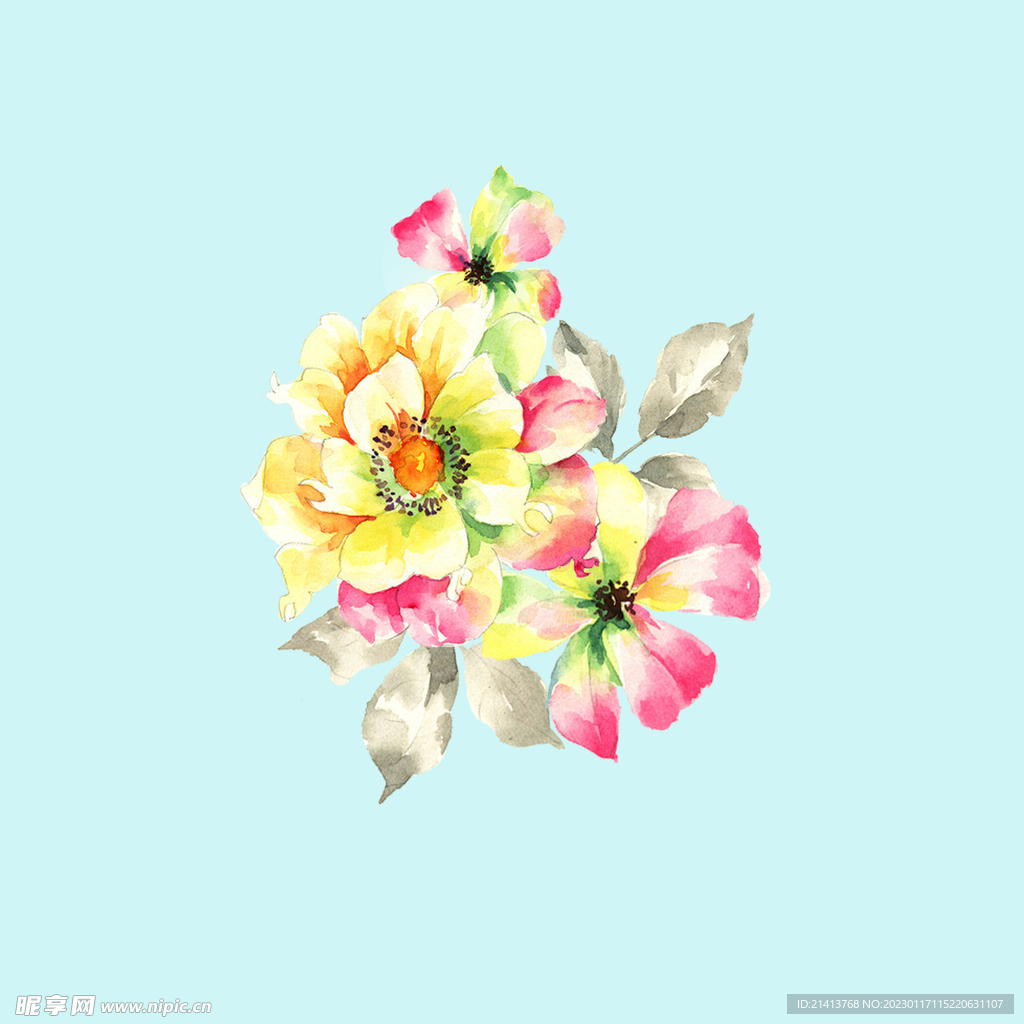 手绘水彩月季 