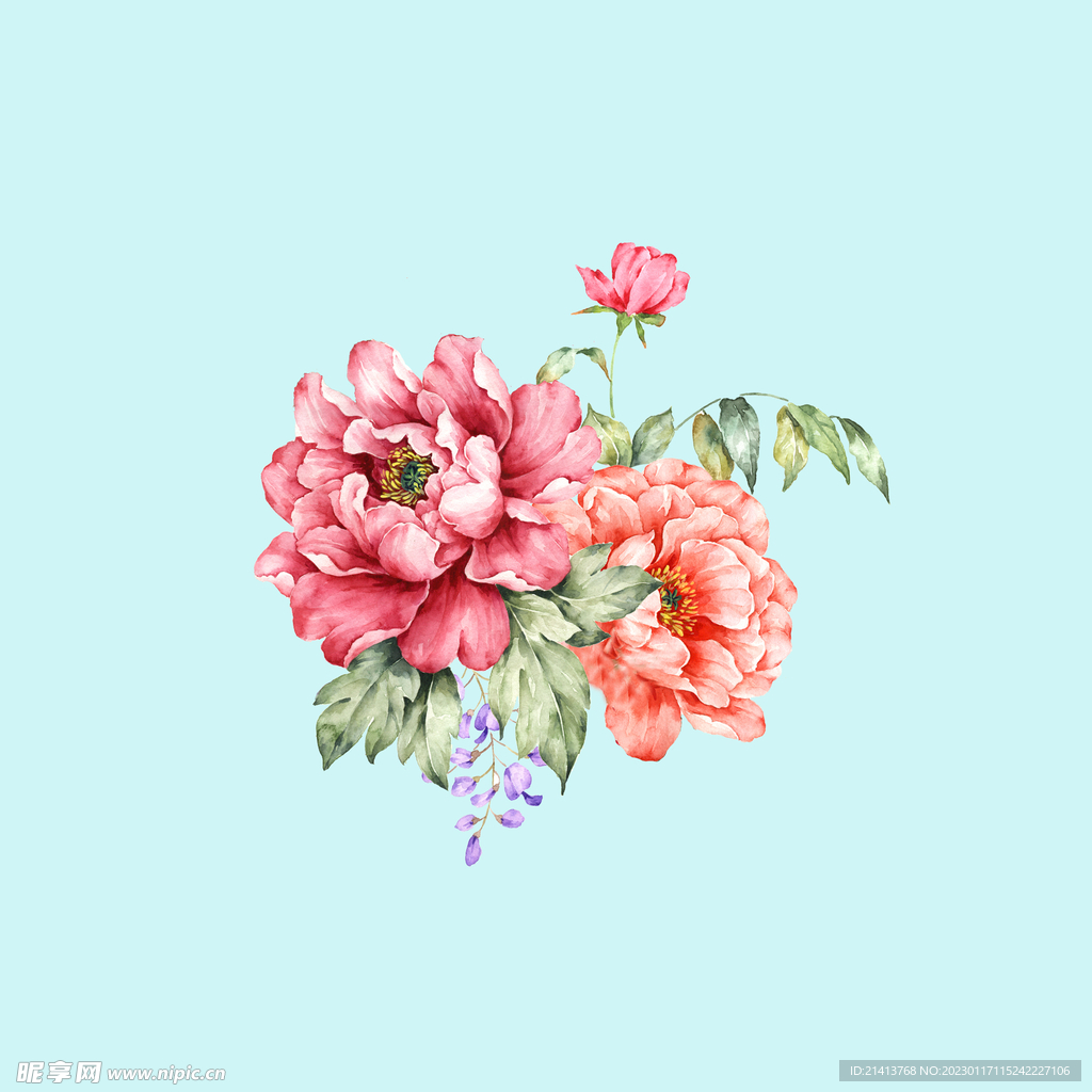 手绘水彩牡丹 