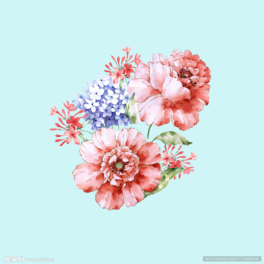 手绘水彩牡丹 