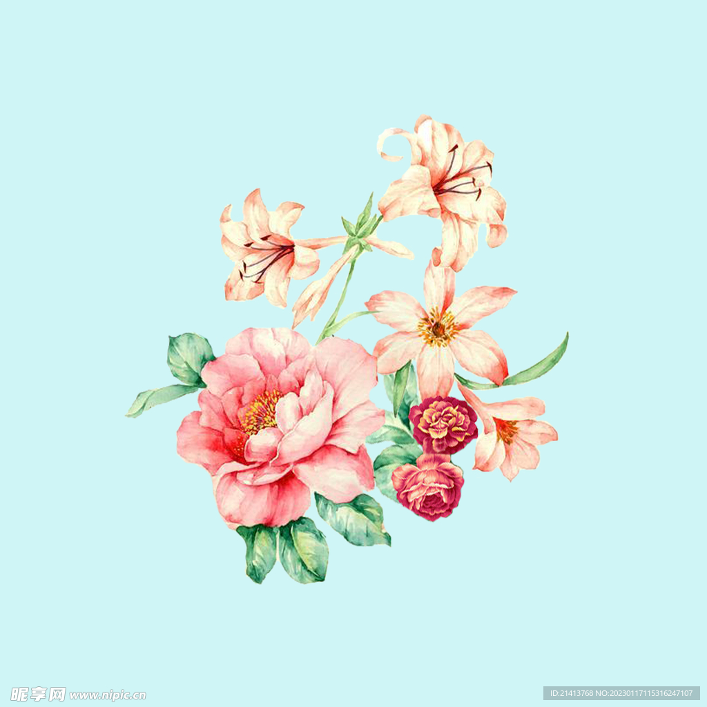 手绘水彩月季 